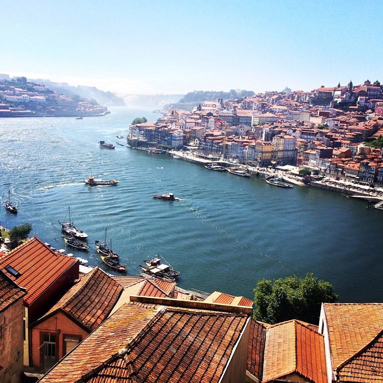 Beitragsbild für Internationales